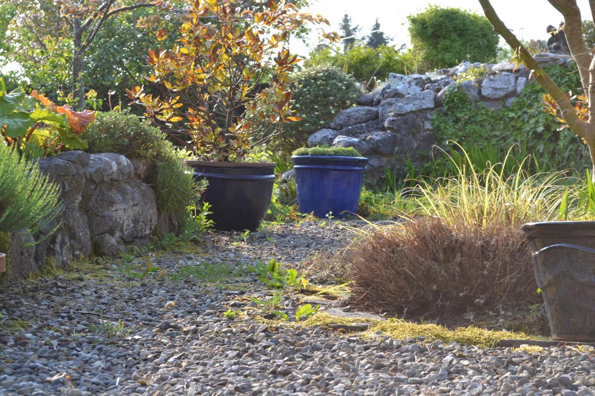 Wild Honey Inn Lisdoonvarna Exteriér fotografie