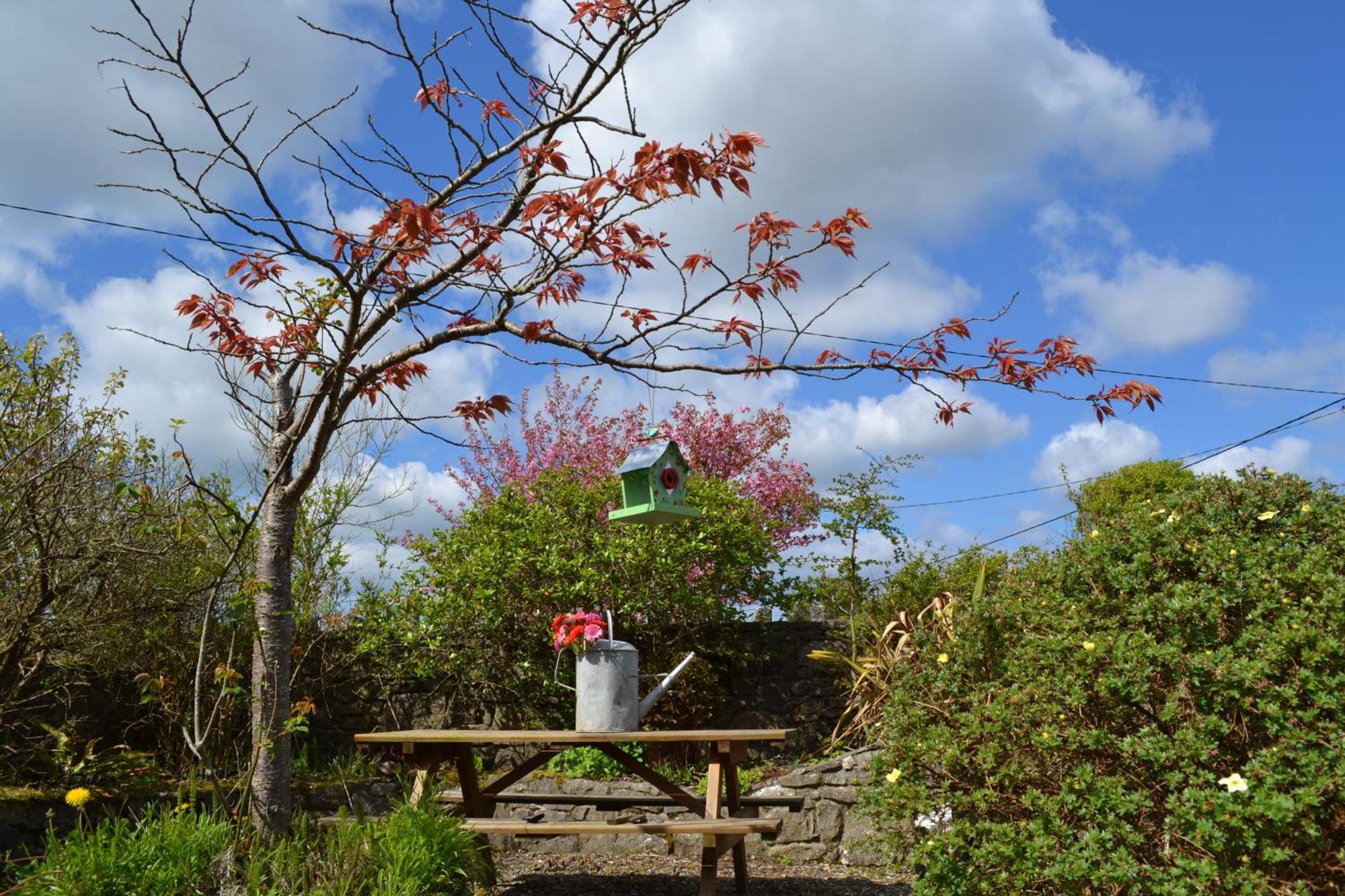 Wild Honey Inn Lisdoonvarna Exteriér fotografie
