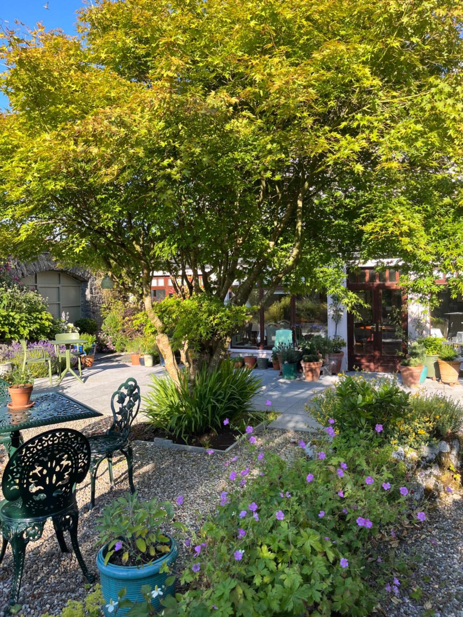 Wild Honey Inn Lisdoonvarna Exteriér fotografie