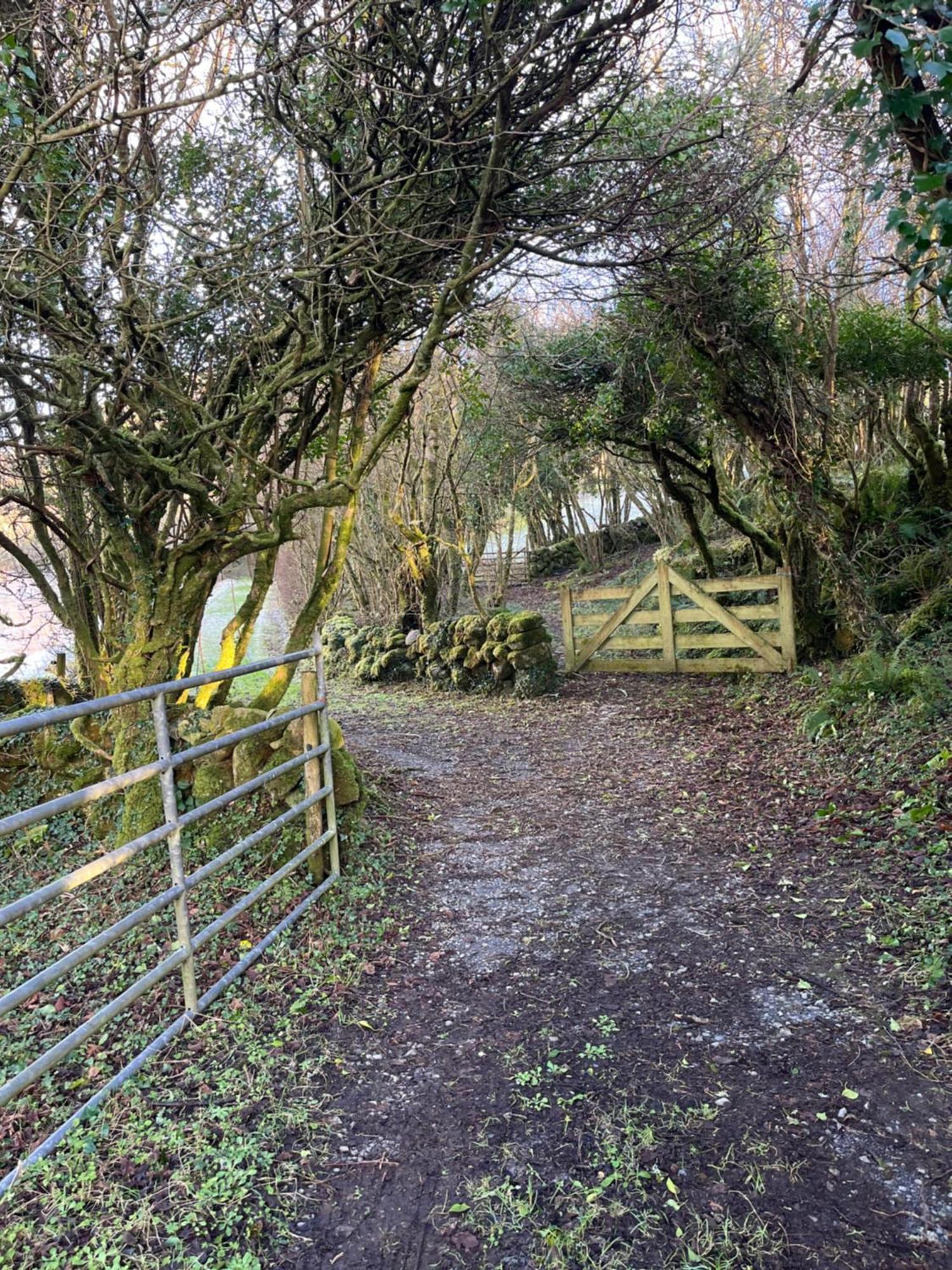Wild Honey Inn Lisdoonvarna Exteriér fotografie