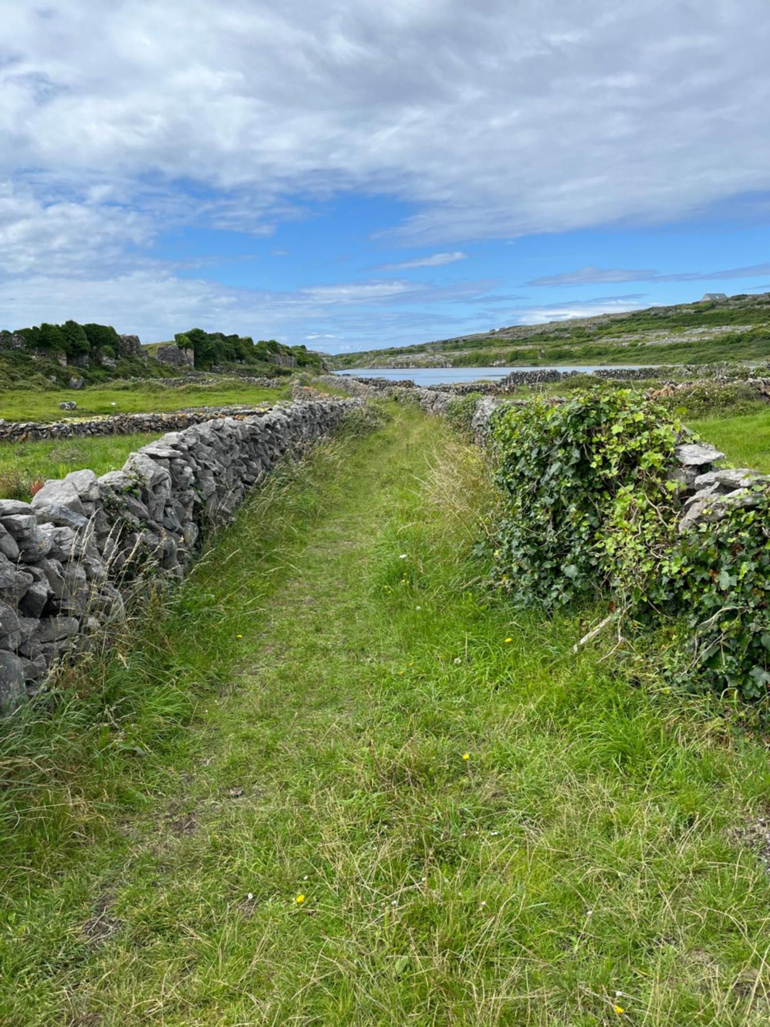 Wild Honey Inn Lisdoonvarna Exteriér fotografie