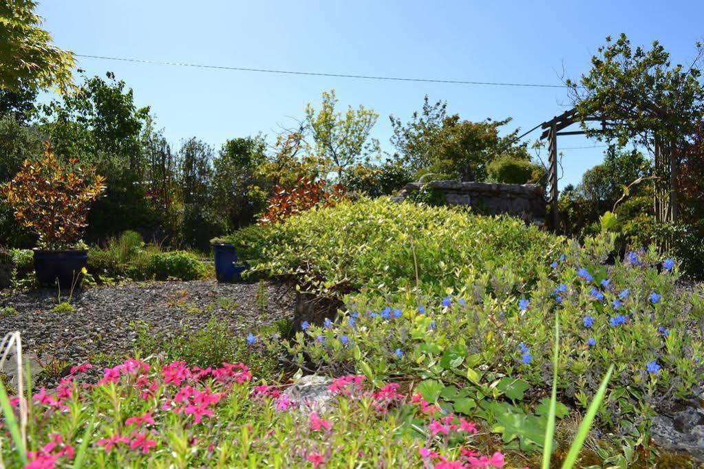 Wild Honey Inn Lisdoonvarna Exteriér fotografie